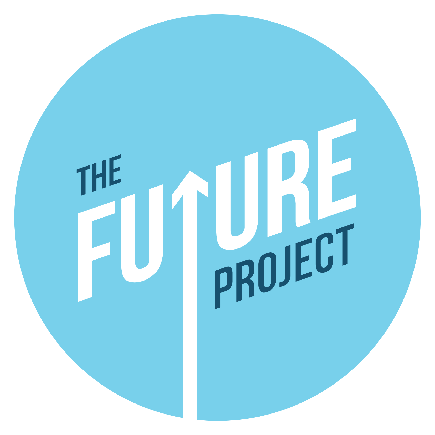 PROJECT LOGO